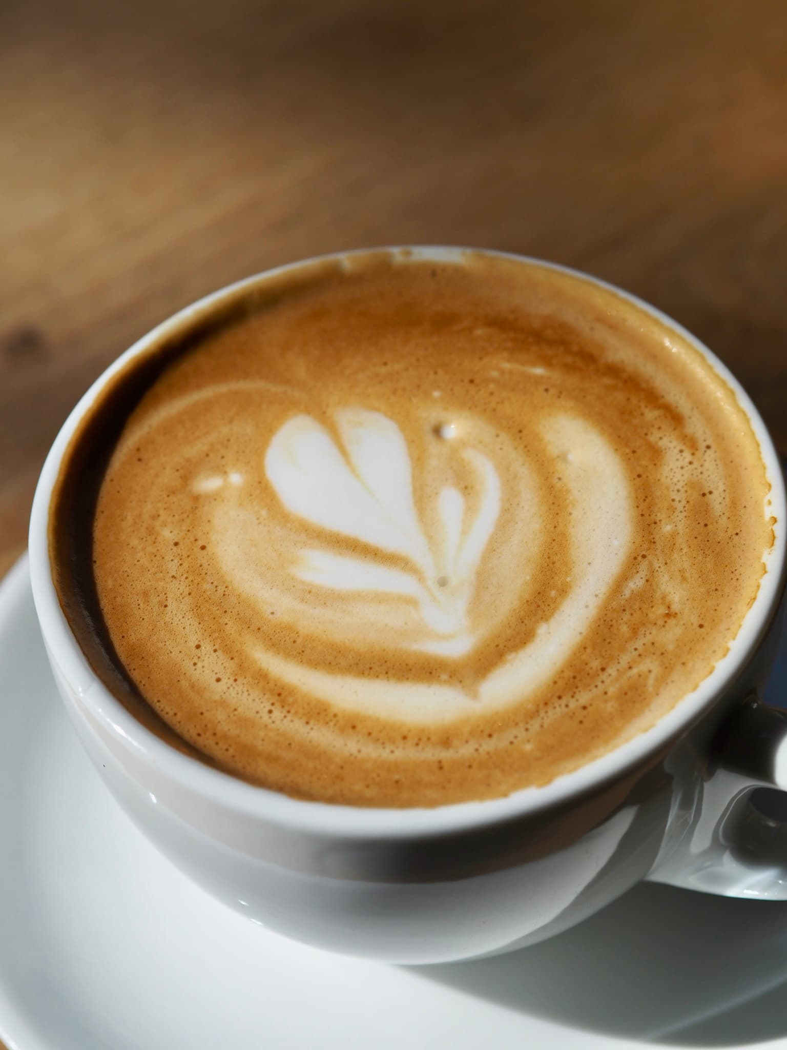 Blick auf den Garten